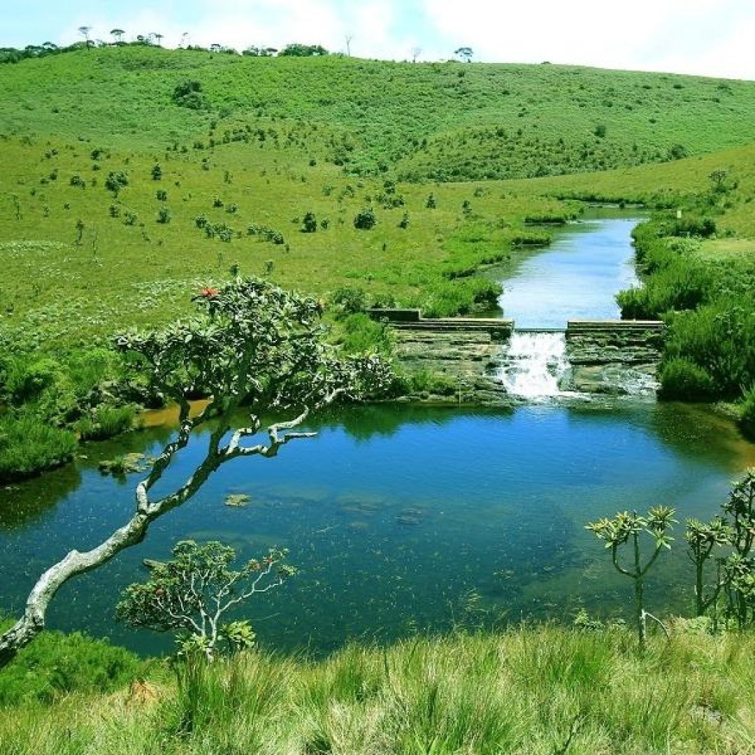 nuwara-eliya-mountains--at-horton-plains